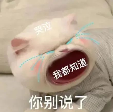2 國際高中暑假銜接課_A-LevelAP暑假培訓(xùn)班2.jpg