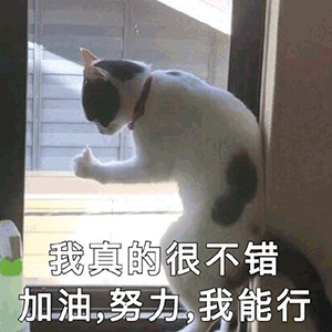 3 國際高中銜接課，暑期無縫銜接國際課程3.jpg