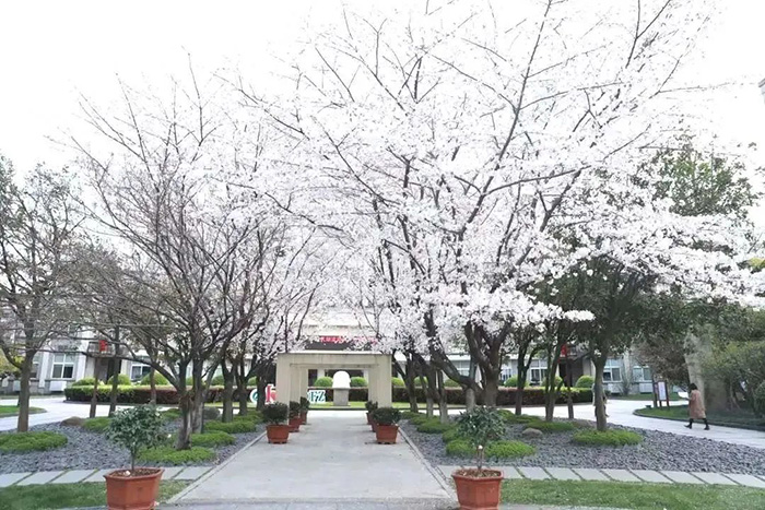 杭州師范大學附屬中學國際部簡介