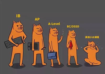IB/AP/A-Level/OSSD四大國(guó)際課程對(duì)比
