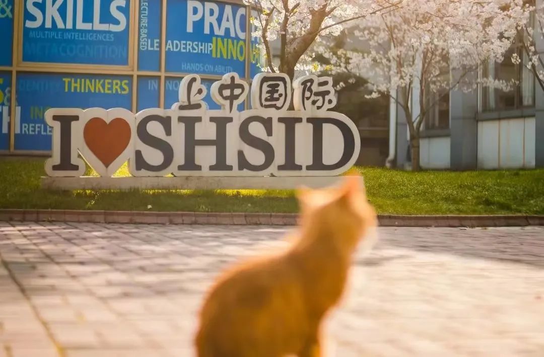 2 春招！包玉剛、領科、WLSA、諾科學校招生公告5.jpg