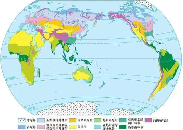 2022年12月SAT北美場考試考情回顧,閱讀文章太長了！