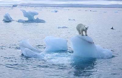雅思寫作語料：climate change 氣候變化