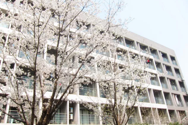 2023年杭州第四中學國際部招生回顧