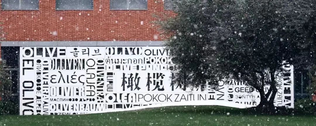 6 杭州20+所國際學校學費大盤點，最少僅7萬年19.jpg