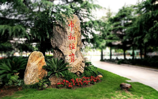 上海學費低于15萬的國際高中盤點，性價比極高
