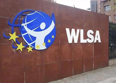 2024年WLSA上海學校春招考試試題回顧，難度大！