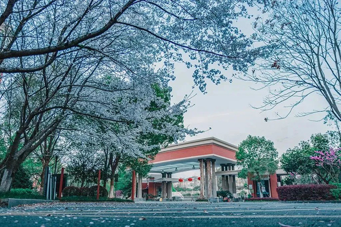 杭州英特外國語學校春招入學考試試題回顧
