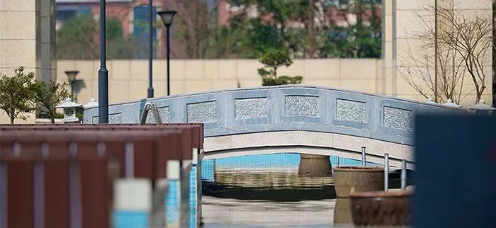 2024年最新杭州國際高中學校學費匯總