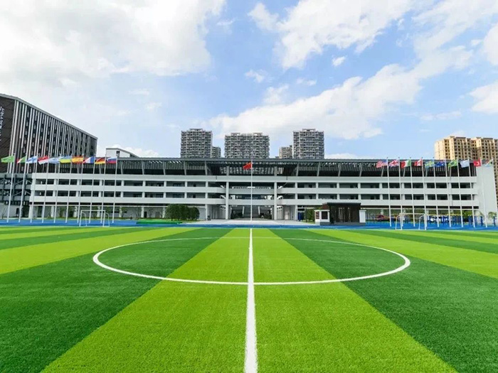 杭州橄欖樹學校2025年招生考試題型