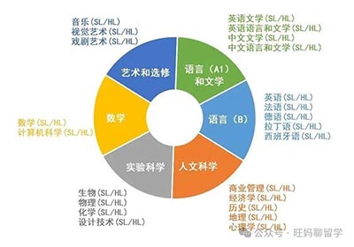 三大主流國際課程體系AP、ALevel、IB哪個補課多