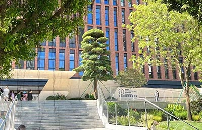 貝賽思在國內(nèi)開設(shè)校區(qū)的城市有哪些？