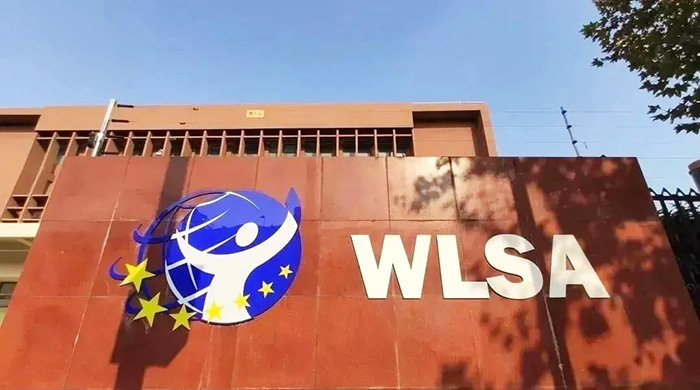 WLSA上海學校2025年秋招考試真題(2025.3.15場)
