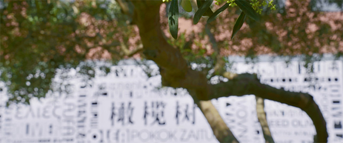 2 杭州地區開設DSE課程國際學校盤點3.jpg