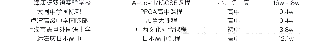 2 中考后轉軌國際方向，上海國際高中學費盤點12.png
