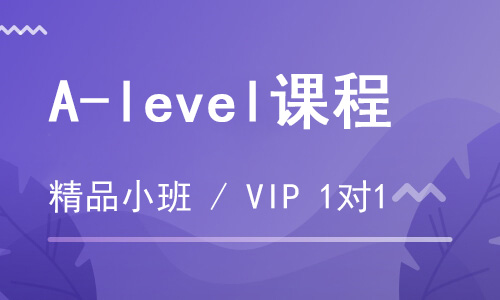 【朗思】A-level VIP個性化培訓(xùn)班