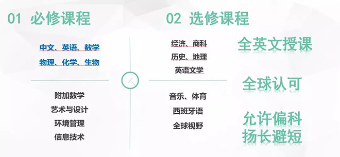 杭州橄欖樹學校好不好,值不值得上?