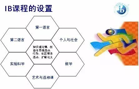 IB課程體系的六大課程_IB課程補(bǔ)課