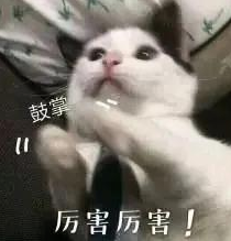 雅思備考如何準(zhǔn)備?雅思詞匯量如何提升?